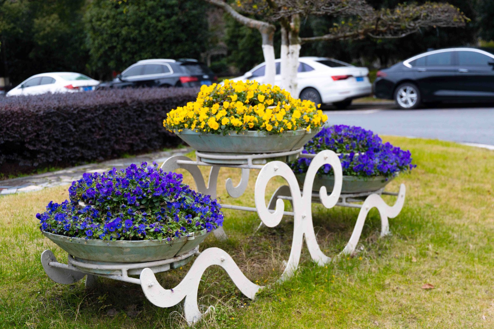 0fa880fa9a3dd447bbabb77a75407403.jpg 0fa880fa9a3dd447bbabb77a75407403.jpg