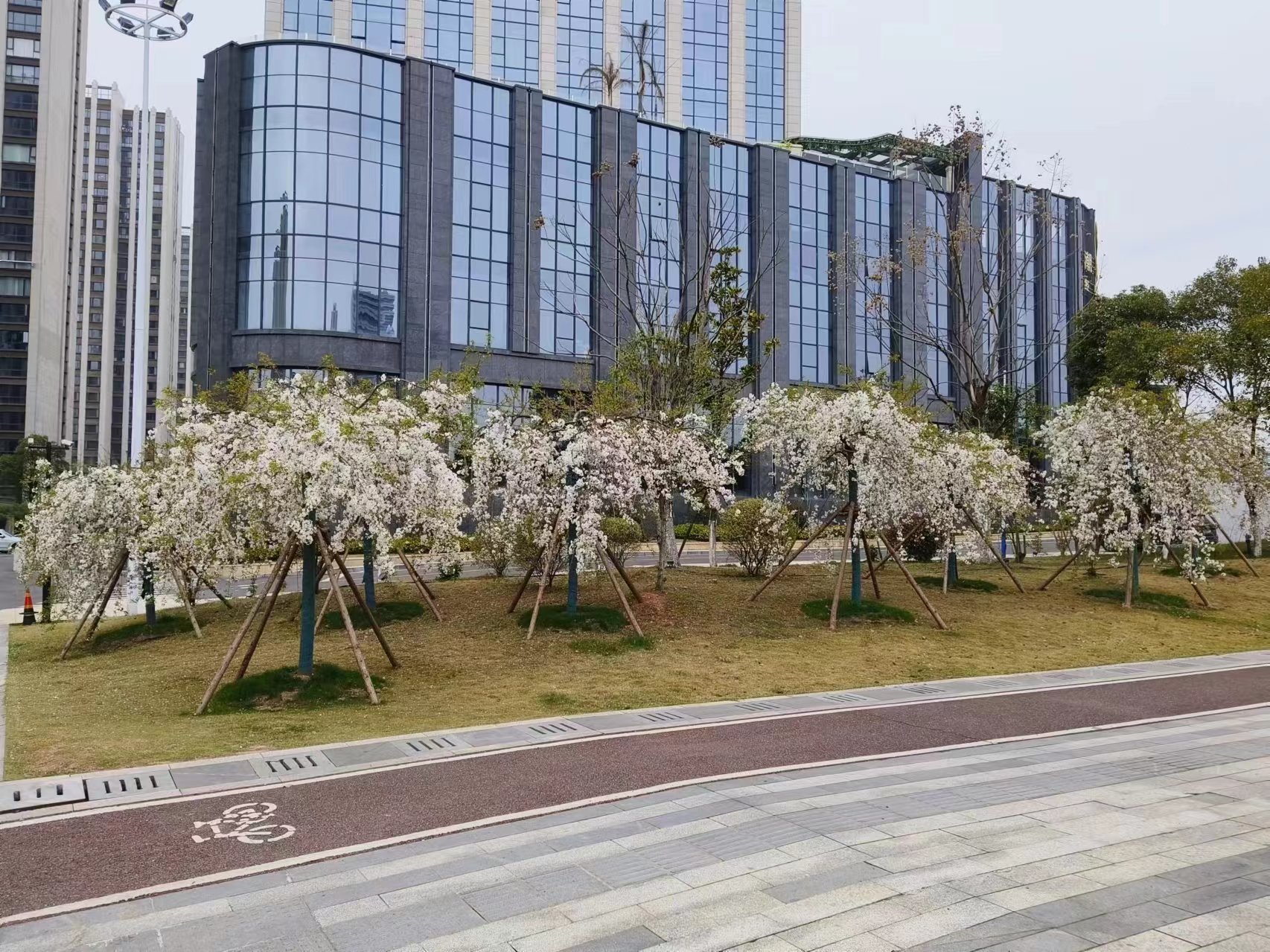 c3d4430aa0a1ac6d3a64fb3ef7f2845f.jpg c3d4430aa0a1ac6d3a64fb3ef7f2845f.jpg