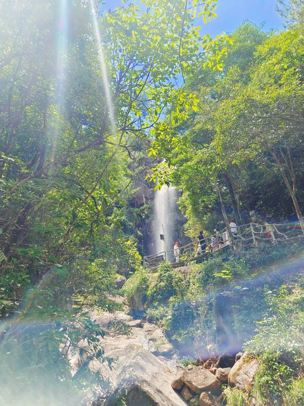 1658200329877521.jpg 1658200329877521.jpg